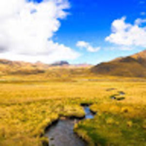 Meet your Posher, Fitsum